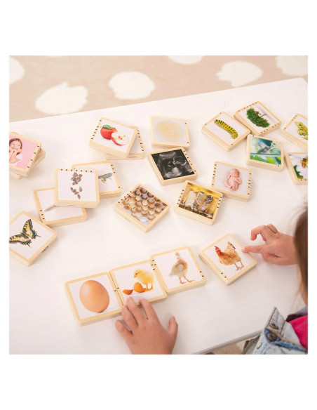 TIK-73522,Ciclurile vietii, set placute din lemn, 24 buc., TickiT