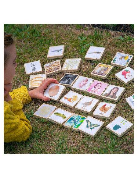 TIK-73522,Ciclurile vietii, set placute din lemn, 24 buc., TickiT