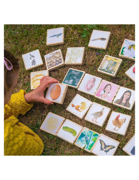 TIK-73522,Ciclurile vietii, set placute din lemn, 24 buc., TickiT