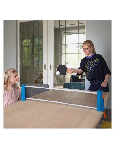 BSGA386,Fileu pentru tenis de masa