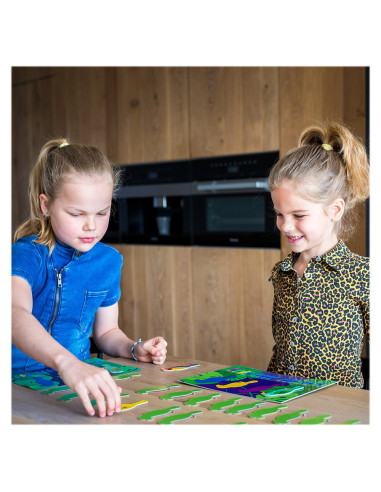 BSGA368,Joc de strategie Papagalii