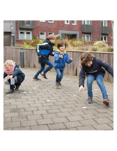 BSGA392,Gaseste insectele, joc de cautare cu zaruri