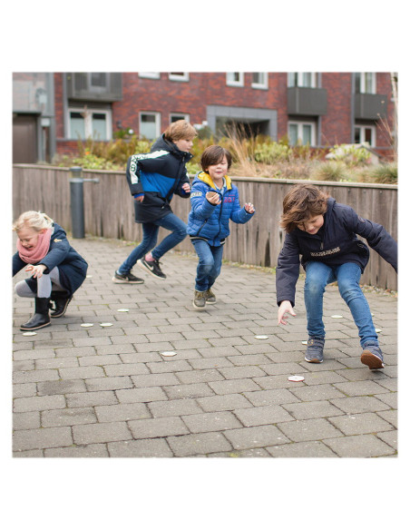 BSGA392,Gaseste insectele, joc de cautare cu zaruri