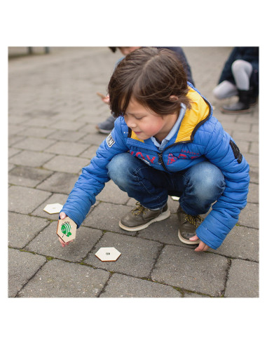 BSGA392,Gaseste insectele, joc de cautare cu zaruri