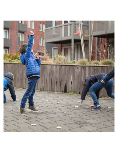 BSGA392,Gaseste insectele, joc de cautare cu zaruri