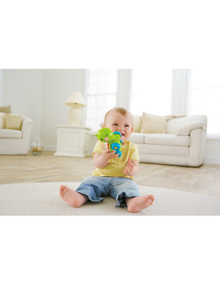 MTBGX29_BFH75,Fisher Price Jucarie Apasa Si Mergi Testoasa