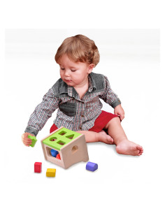 WED-3087,Sortator cu forme colorate din lemn, Wonderworld 2