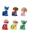 6067029,Patrula Catelusilor Set Cadou Cu 6 Figurine