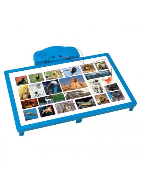 Joc interactiv Noriel - Cine stie castiga - Regatul