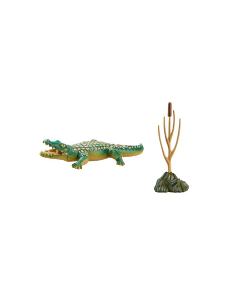 PM71287,Aligator
