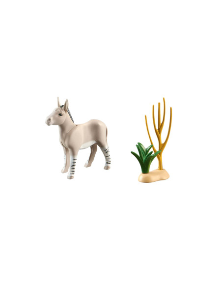 PM71289,Magar african