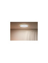 000008720169072619,SUPERSLIM WIZ CEILING 22W W 22-65K RGB "000008720169072619" (timbru verde 2.00 lei)
