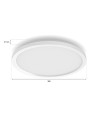 000008720169159198,SURIMU HUE PANEL RD 40W "000008720169159198" (timbru verde 2.00 lei)
