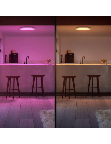 000008720169159198,SURIMU HUE PANEL RD 40W "000008720169159198" (timbru verde 2.00 lei)