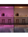 000008720169159198,SURIMU HUE PANEL RD 40W "000008720169159198" (timbru verde 2.00 lei)