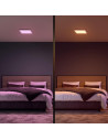 000008720169159136,SURIMU HUE PANEL SQ 25W "000008720169159136" (timbru verde 2.00 lei)