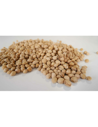 BN-QM_BOC0189,Qmini - Pernuta anticolici umpluta cu samburi de cirese, Cu husa din bumbac, Diametru 14 cm, Watermelon