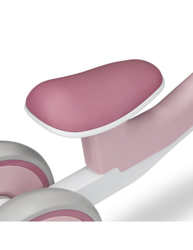 BN-LOE-VILLY_ PINK_ROSE,Lionelo - Bicicleta fara pedale Villy, Cu 4 roti, Din spuma EVA si TPR, Stabila, Manere moi, antiderapan