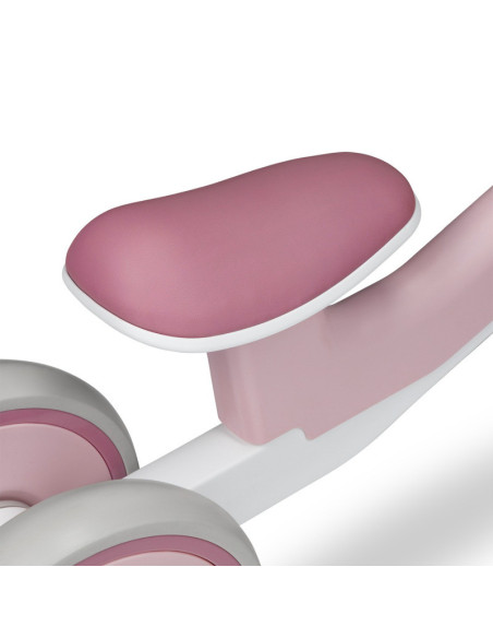 BN-LOE-VILLY_ PINK_ROSE,Lionelo - Bicicleta fara pedale Villy, Cu 4 roti, Din spuma EVA si TPR, Stabila, Manere moi, antiderapan