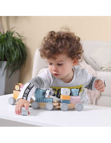 NC44015,Joc de stivuire Trenulet PolarB