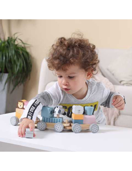 NC44015,Joc de stivuire Trenulet PolarB