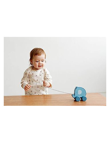 NC44004,Jucarie de tras Elefantel PolarB