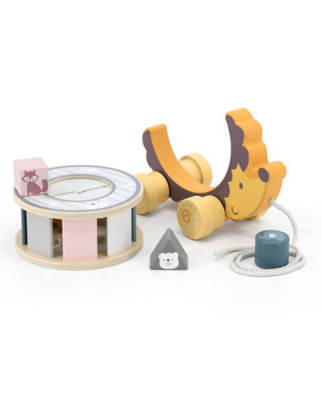 NC44025,Jucarie de tras roata sortator forme geometrice Arici PolarB NC44025,Jucarie de tras roata sortator forme geometrice Arici PolarB