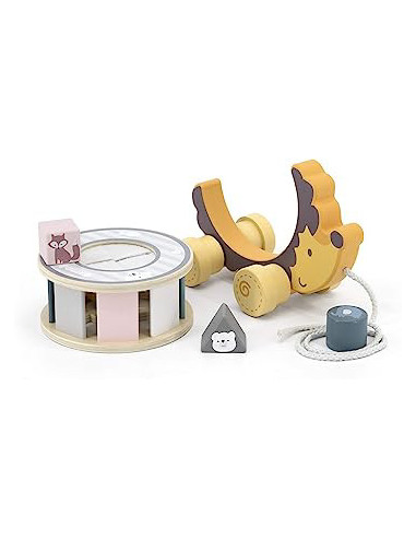 NC44025,Jucarie de tras roata sortator forme geometrice Arici PolarB NC44025,Jucarie de tras roata sortator forme geometrice Arici PolarB