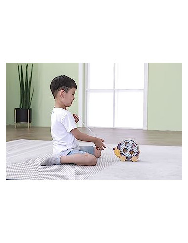 NC44025,Jucarie de tras roata sortator forme geometrice Arici PolarB NC44025,Jucarie de tras roata sortator forme geometrice Arici PolarB