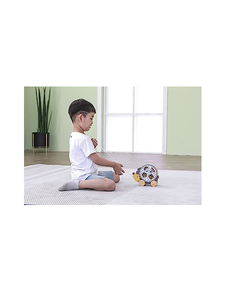 NC44025,Jucarie de tras roata sortator forme geometrice Arici PolarB NC44025,Jucarie de tras roata sortator forme geometrice Arici PolarB