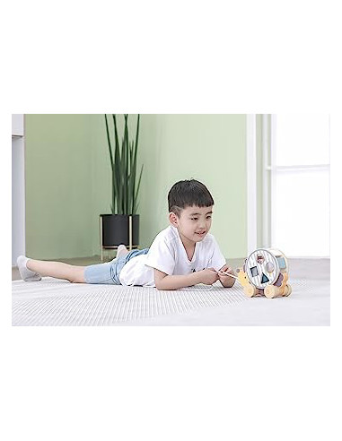 NC44025,Jucarie de tras roata sortator forme geometrice Arici PolarB NC44025,Jucarie de tras roata sortator forme geometrice Arici PolarB