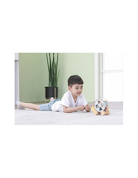 NC44025,Jucarie de tras roata sortator forme geometrice Arici PolarB NC44025,Jucarie de tras roata sortator forme geometrice Arici PolarB