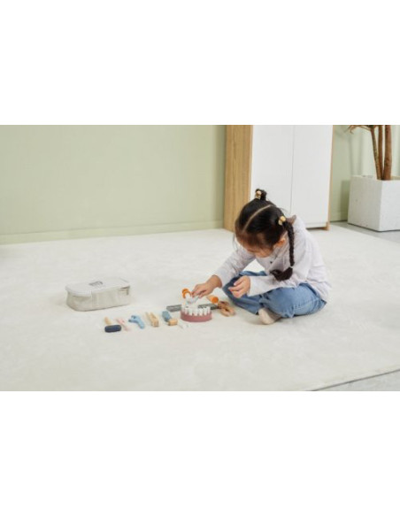 NC44202,Set dentist PolarB