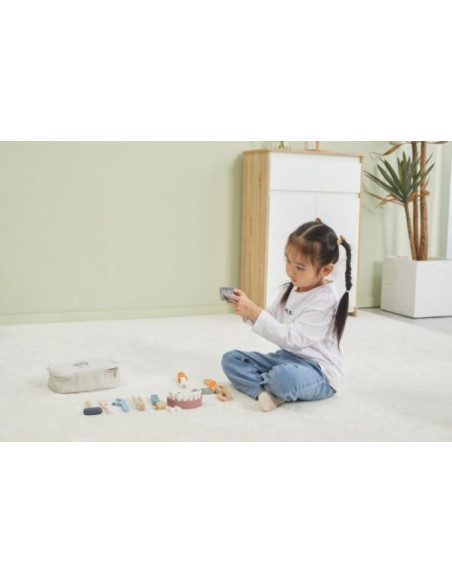 NC44202,Set dentist PolarB