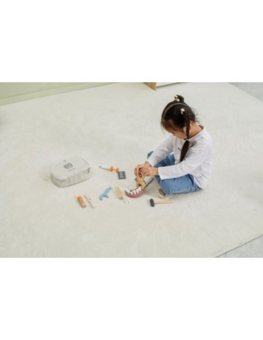 NC44202,Set dentist PolarB