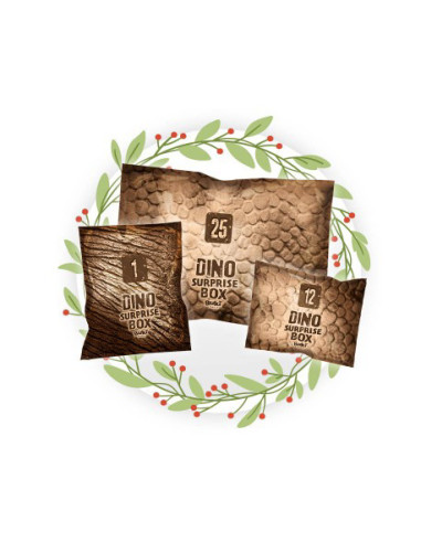 BK2135,Cutie cu surprize Dino