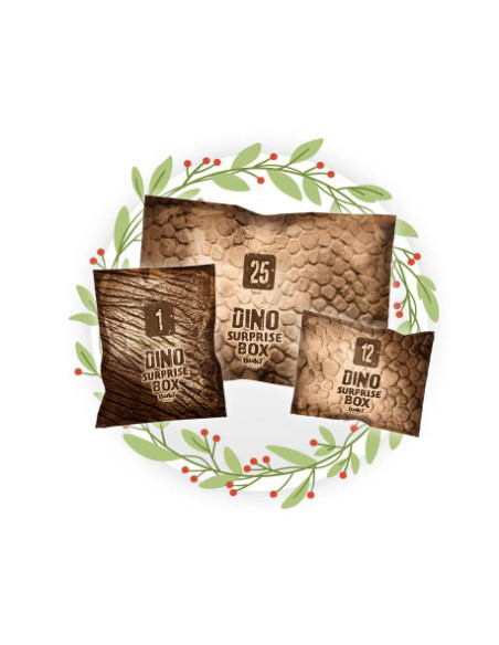 BK2135,Cutie cu surprize Dino