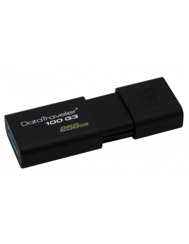 Memorie USB Flash Drive Kingston 256 GB DataTraveler D100G3