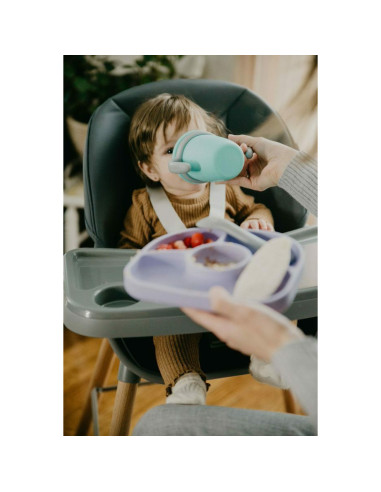BN-BBL-B0191-V,Set de masa complet, Set, Include farfurie compartimentata, baveta portabila cu buzunar, canuta si lingurita, Sil