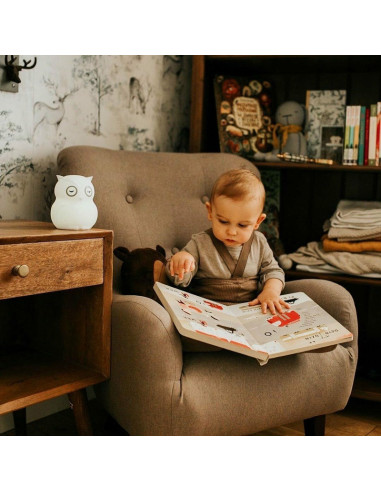 BN-BBL-B0154,Lampa de veghe Bufnita, Hibu, Functionare pana la 10 ore, Cu telecomanda si cablu USB, Cu 9 culori diferite activat