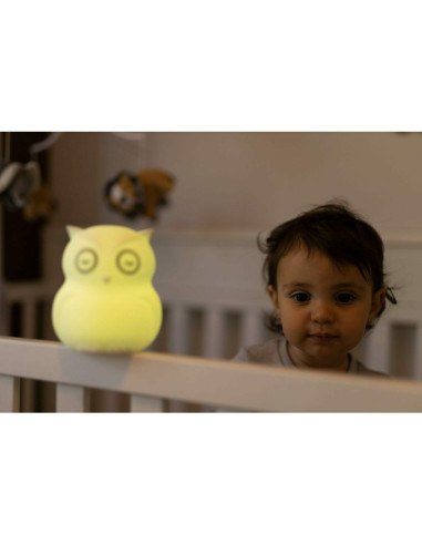 BN-BBL-B0154,Lampa de veghe Bufnita, Hibu, Functionare pana la 10 ore, Cu telecomanda si cablu USB, Cu 9 culori diferite activat
