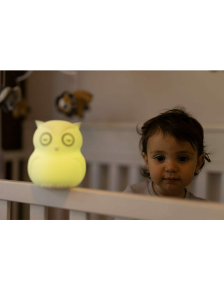 BN-BBL-B0154,Lampa de veghe Bufnita, Hibu, Functionare pana la 10 ore, Cu telecomanda si cablu USB, Cu 9 culori diferite activat