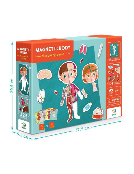 DO200220,Joc magnetic - Descopera corpul uman
