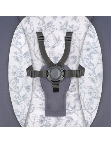 BN-LO-RALF_GREY_GRAPHITE,Lionelo - Balansoar si sezlong copii, Ralf, 2 in 1, Electric, Cu telecomanda si cablu USB, Cu miscare l