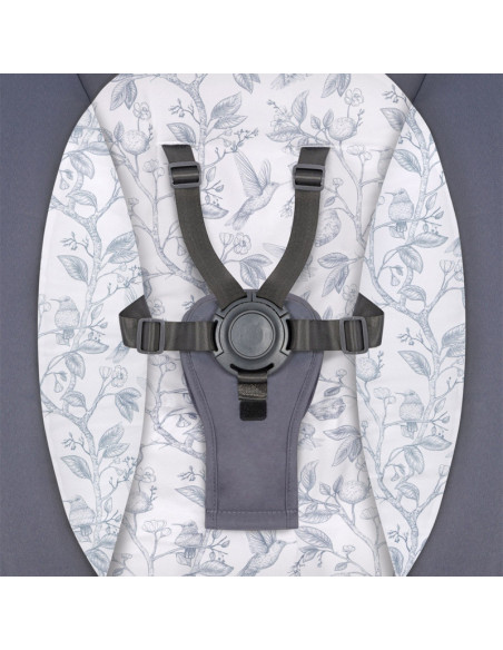 BN-LO-RALF_GREY_GRAPHITE,Lionelo - Balansoar si sezlong copii, Ralf, 2 in 1, Electric, Cu telecomanda si cablu USB, Cu miscare l