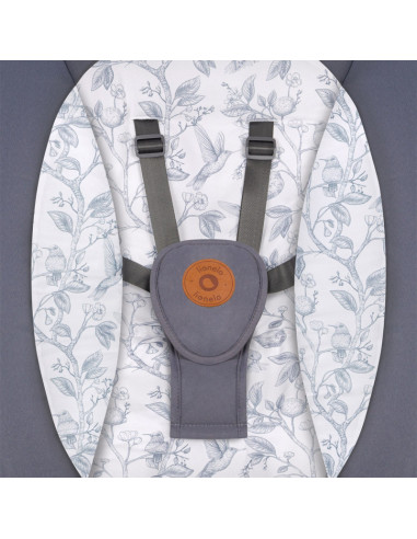 BN-LO-RALF_GREY_GRAPHITE,Lionelo - Balansoar si sezlong copii, Ralf, 2 in 1, Electric, Cu telecomanda si cablu USB, Cu miscare l
