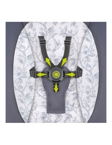 BN-LO-RALF_GREY_GRAPHITE,Lionelo - Balansoar si sezlong copii, Ralf, 2 in 1, Electric, Cu telecomanda si cablu USB, Cu miscare l