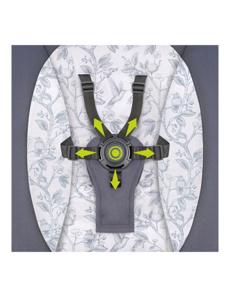 BN-LO-RALF_GREY_GRAPHITE,Lionelo - Balansoar si sezlong copii, Ralf, 2 in 1, Electric, Cu telecomanda si cablu USB, Cu miscare l