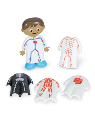 LER1261,Set activitati educative - Corpul uman
