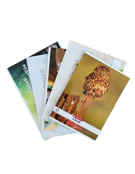 SET-CAIETSPECIAL,Set caiete Herlitz muzica+biologie+geografie+desen+velin, 5 buc/set